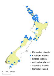 Lindsaea linearis distribution map based on databased records at AK, CHR and WELT.
 Image: K. Boardman © Landcare Research 2016 CC BY 3.0 NZ
